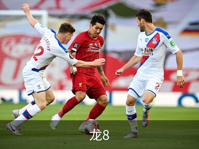 了解龙8